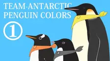 Постер к аниме Цвета антарктических пингвинов